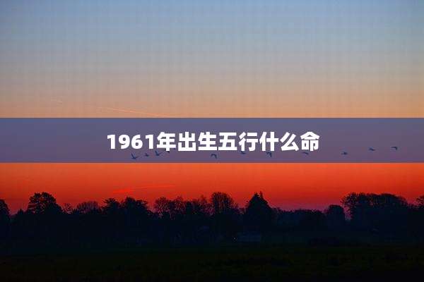 1961年出生五行什么命