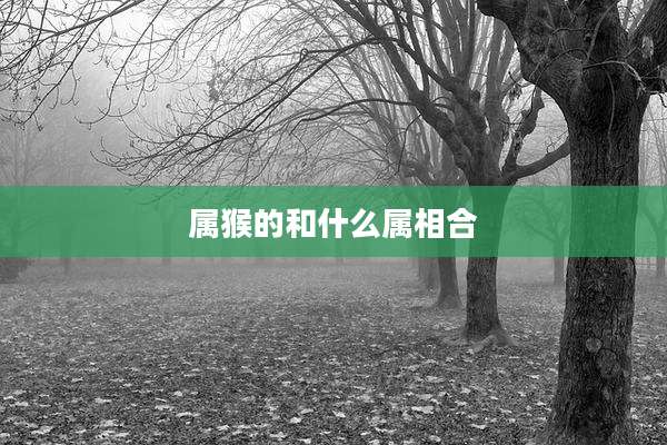 属猴的和什么属相合