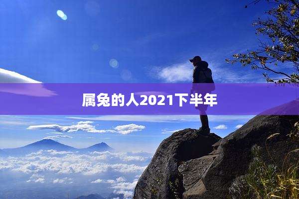 属兔的人2021下半年