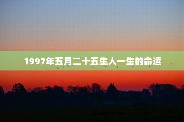 1997年五月二十五生人一生的命运