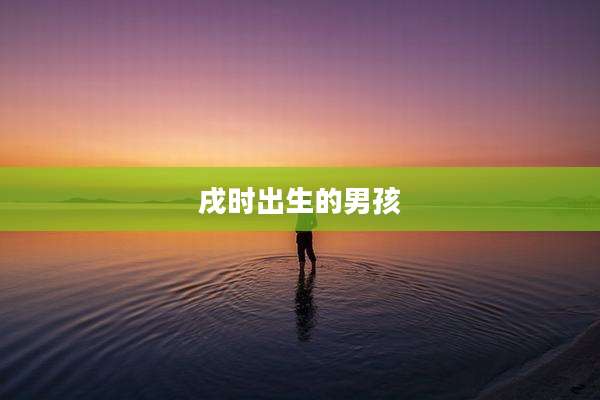 戌时出生的男孩