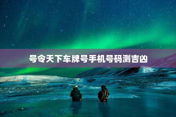 号令天下车牌号手机号码测吉凶
