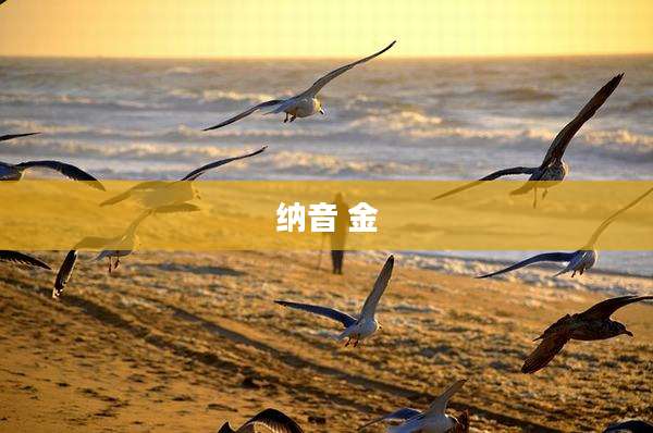 纳音 金