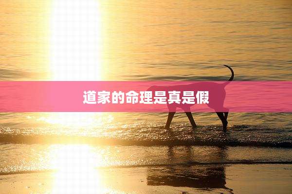 道家的命理是真是假