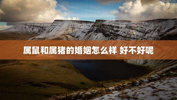 属鼠和属猪的婚姻怎么样 好不好呢