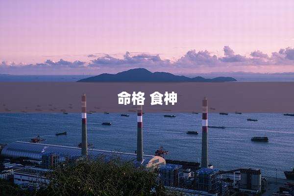 命格 食神