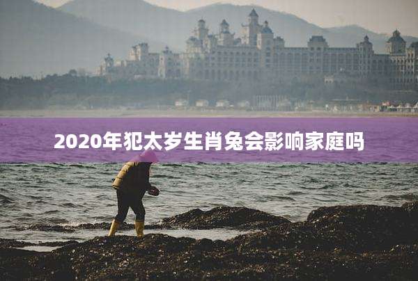 2020年犯太岁生肖兔会影响家庭吗