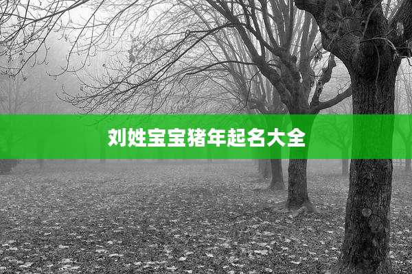 刘姓宝宝猪年起名大全