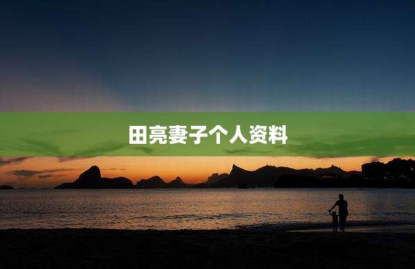 田亮妻子个人资料