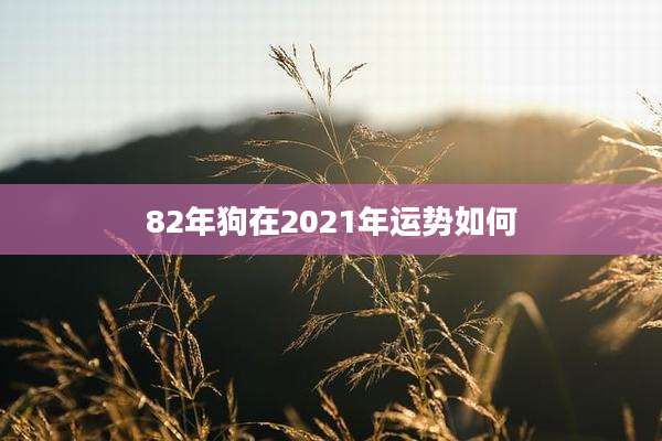 82年狗在2021年运势如何