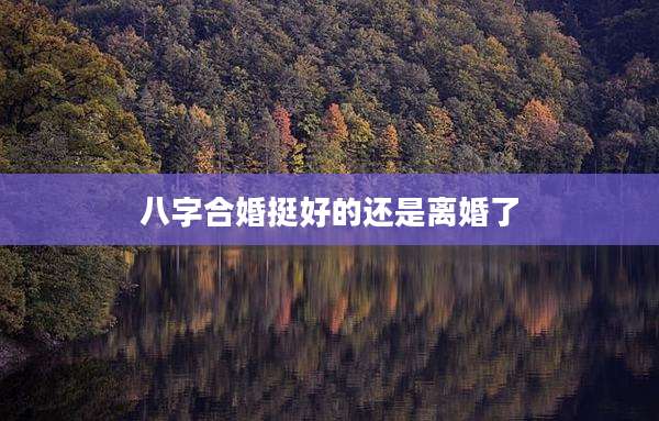 八字合婚挺好的还是离婚了