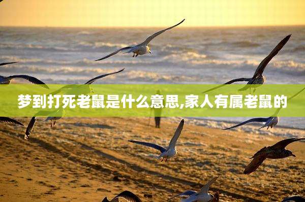梦到打死老鼠是什么意思,家人有属老鼠的