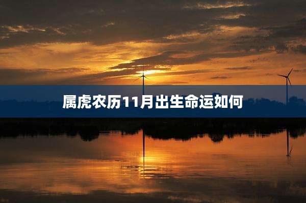 属虎农历11月出生命运如何