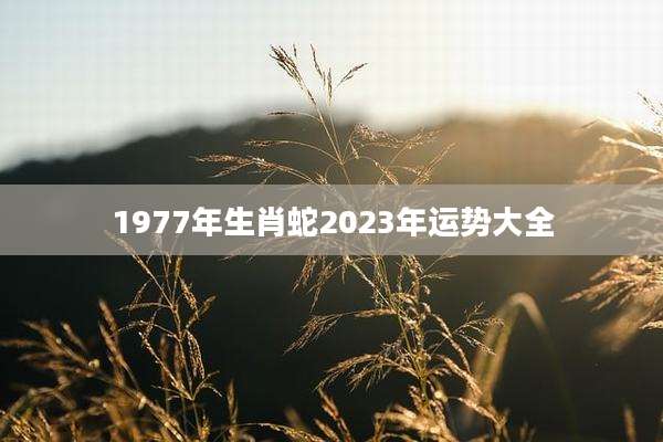 1977年生肖蛇2023年运势大全
