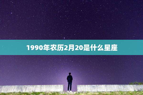 1990年农历2月20是什么星座