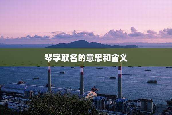 琴字取名的意思和含义