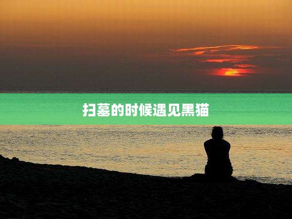 扫墓的时候遇见黑猫