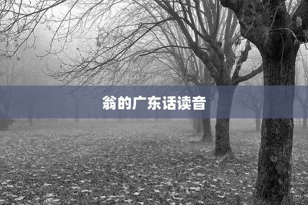 翁的广东话读音