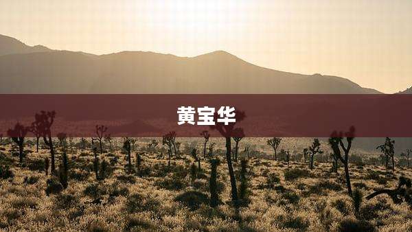 黄宝华