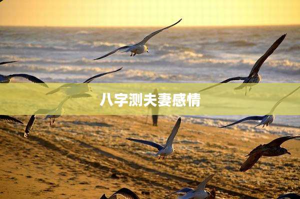 八字测夫妻感情