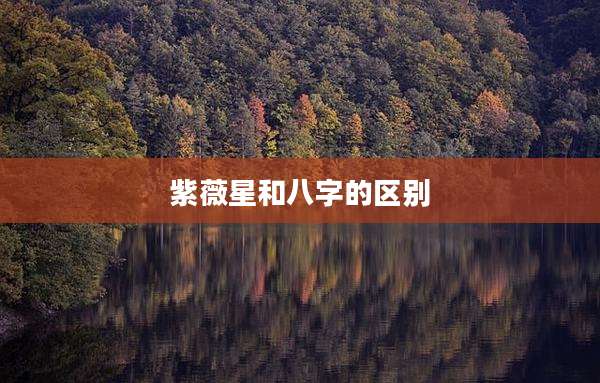 紫薇星和八字的区别
