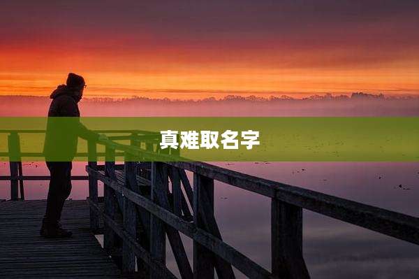 真难取名字