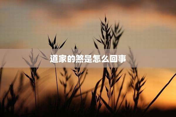 道家的煞是怎么回事