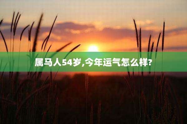 属马人54岁,今年运气怎么样?