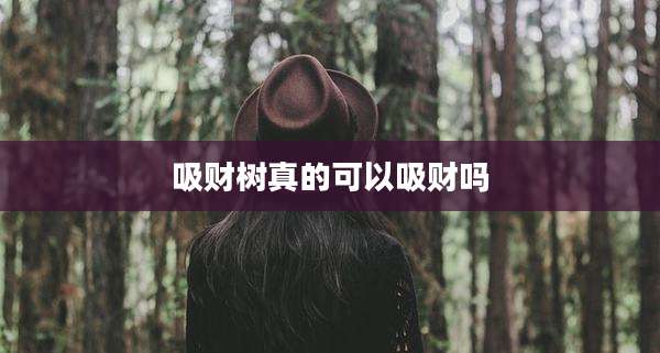 吸财树真的可以吸财吗
