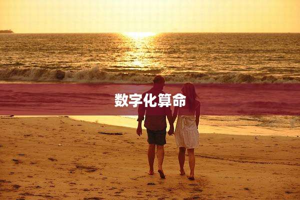 数字化算命