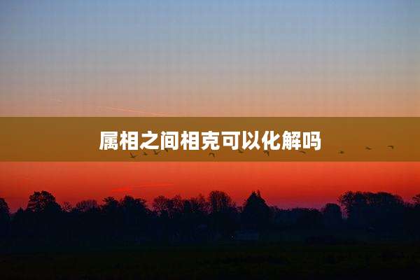 属相之间相克可以化解吗
