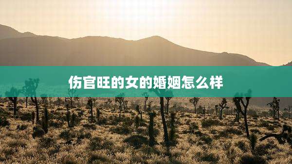 伤官旺的女的婚姻怎么样