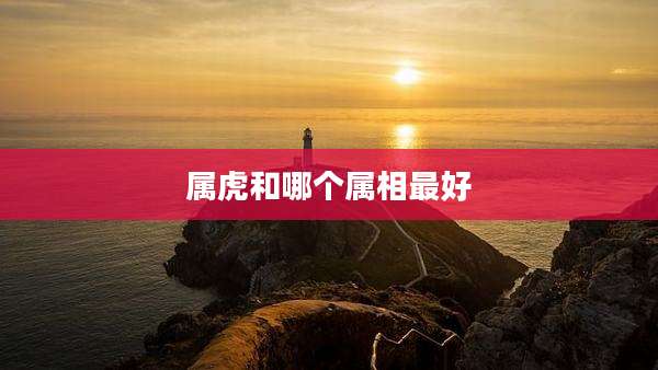 属虎和哪个属相最好