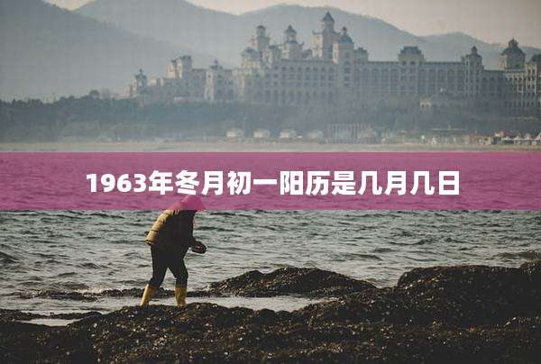 1963年冬月初一阳历是几月几日