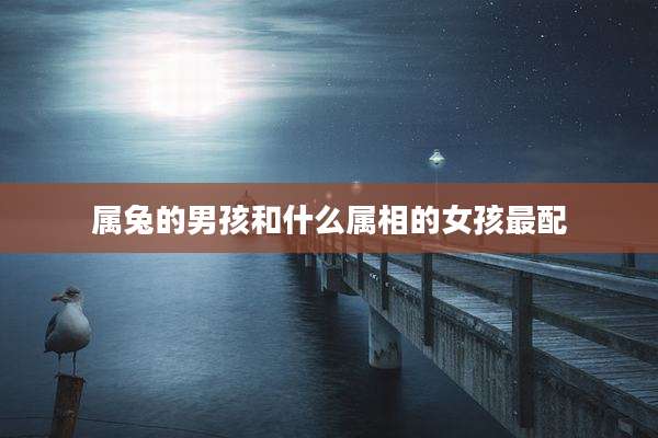 属兔的男孩和什么属相的女孩最配