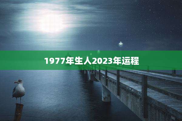 1977年生人2023年运程