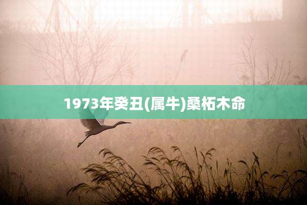 1973年癸丑(属牛)桑柘木命