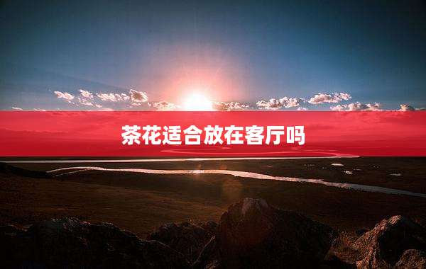 茶花适合放在客厅吗