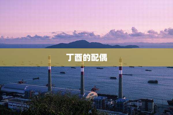 丁酉的配偶