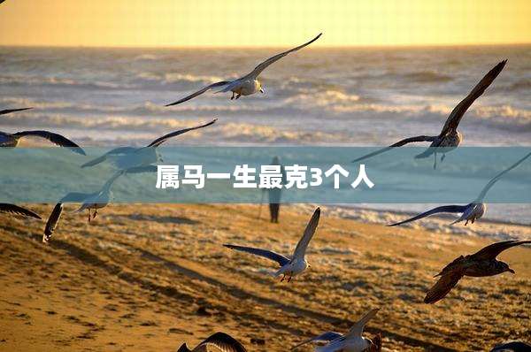 属马一生最克3个人