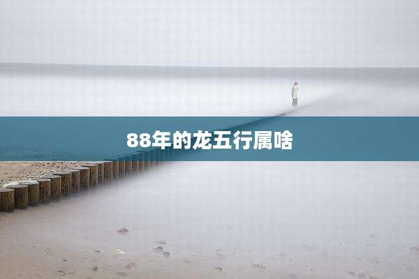 88年的龙五行属啥