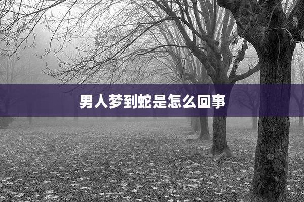 男人梦到蛇是怎么回事