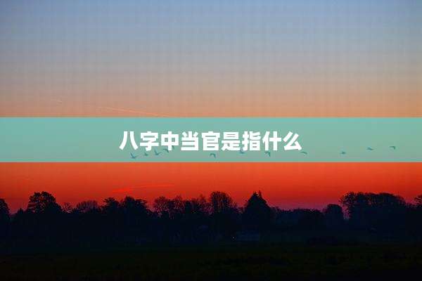 八字中当官是指什么