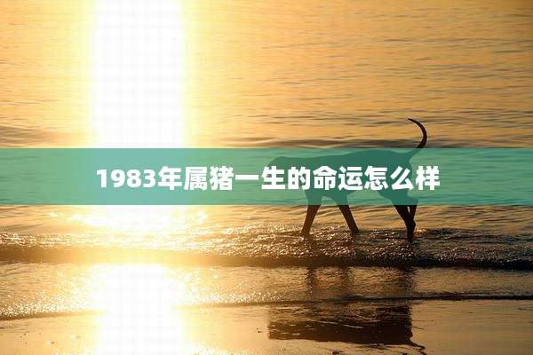 1983年属猪一生的命运怎么样