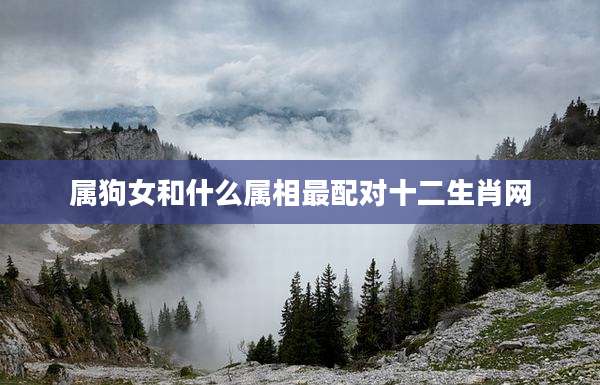 属狗女和什么属相最配对十二生肖网