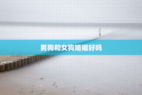 男狗和女狗婚姻好吗