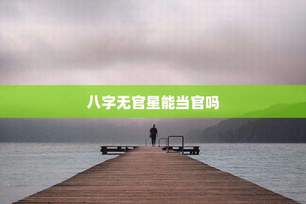 八字无官星能当官吗