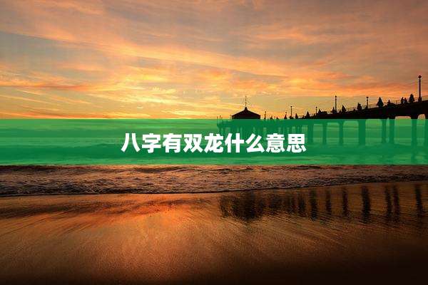八字有双龙什么意思