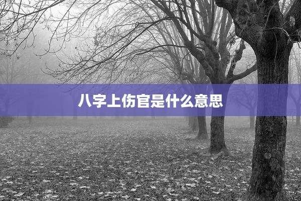 八字上伤官是什么意思