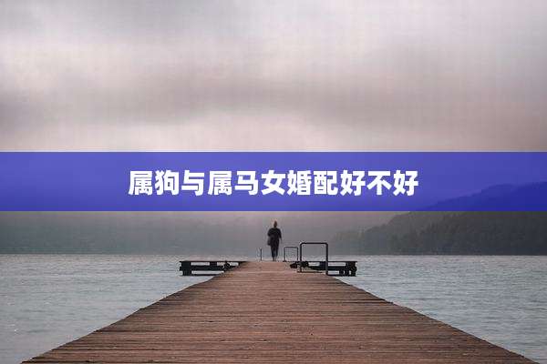 属狗与属马女婚配好不好